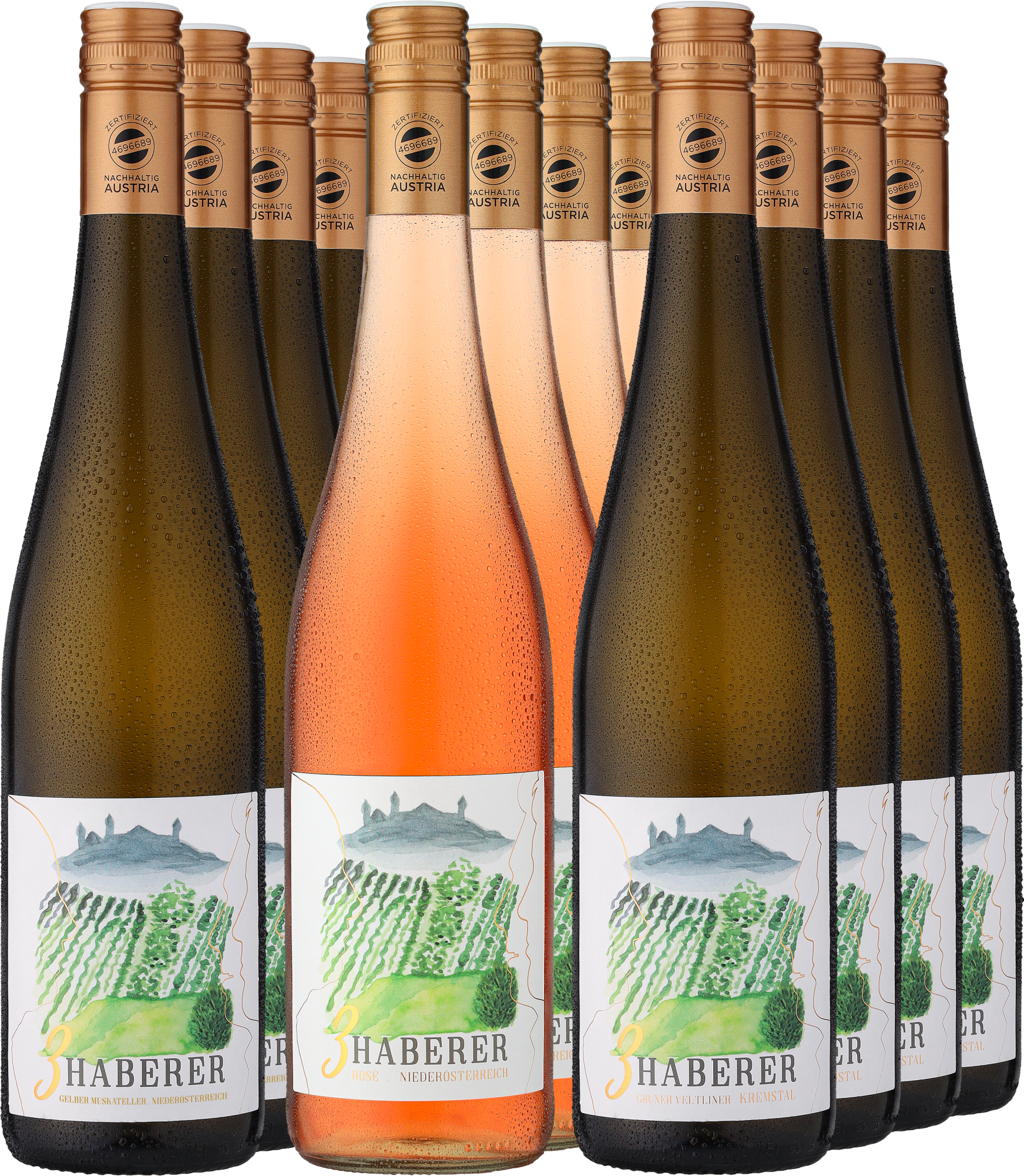 12er-Probierpaket »3 Haberer Mix«