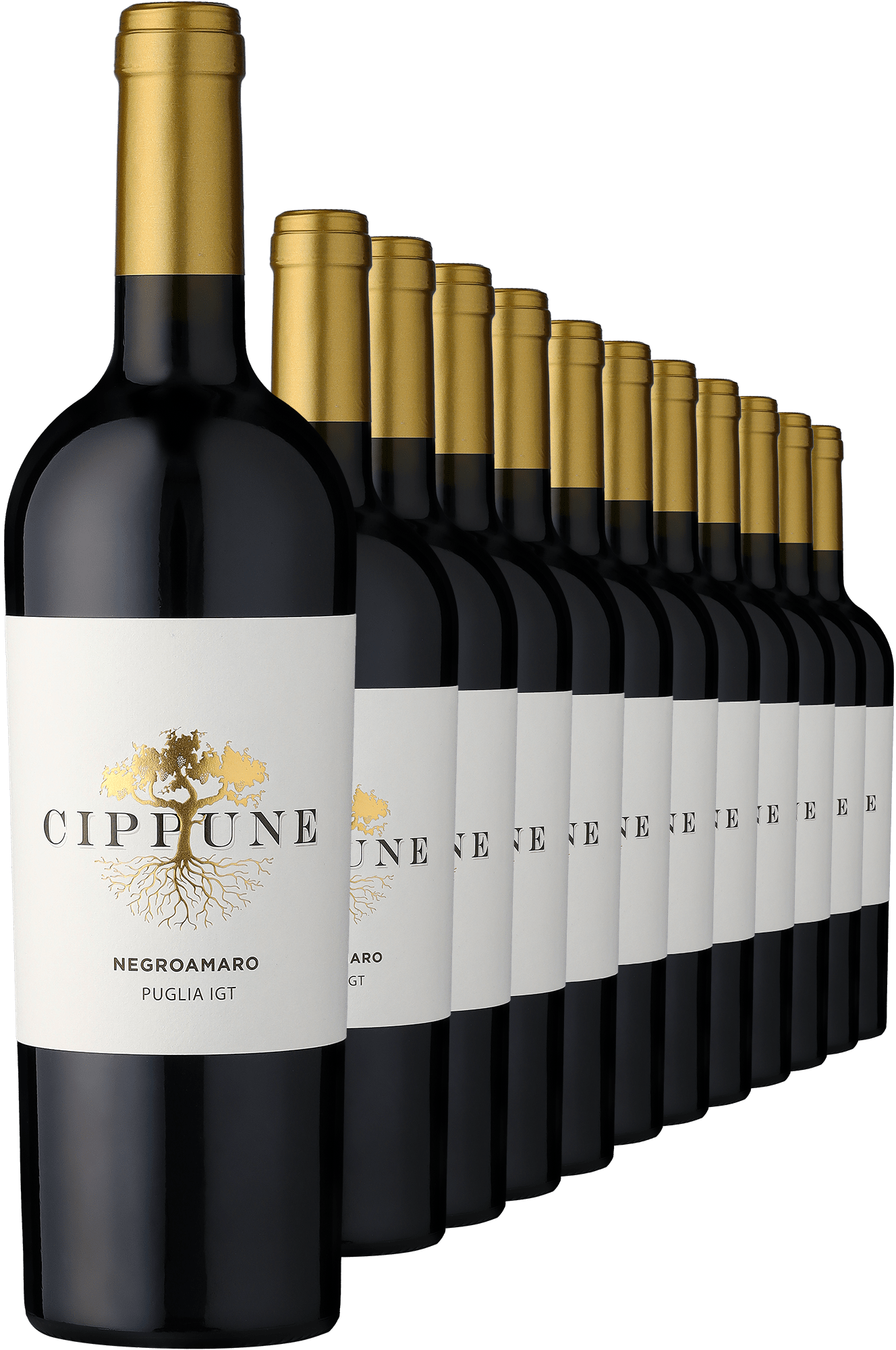 2024 Cippune Negroamaro im 12er-Vorratspaket