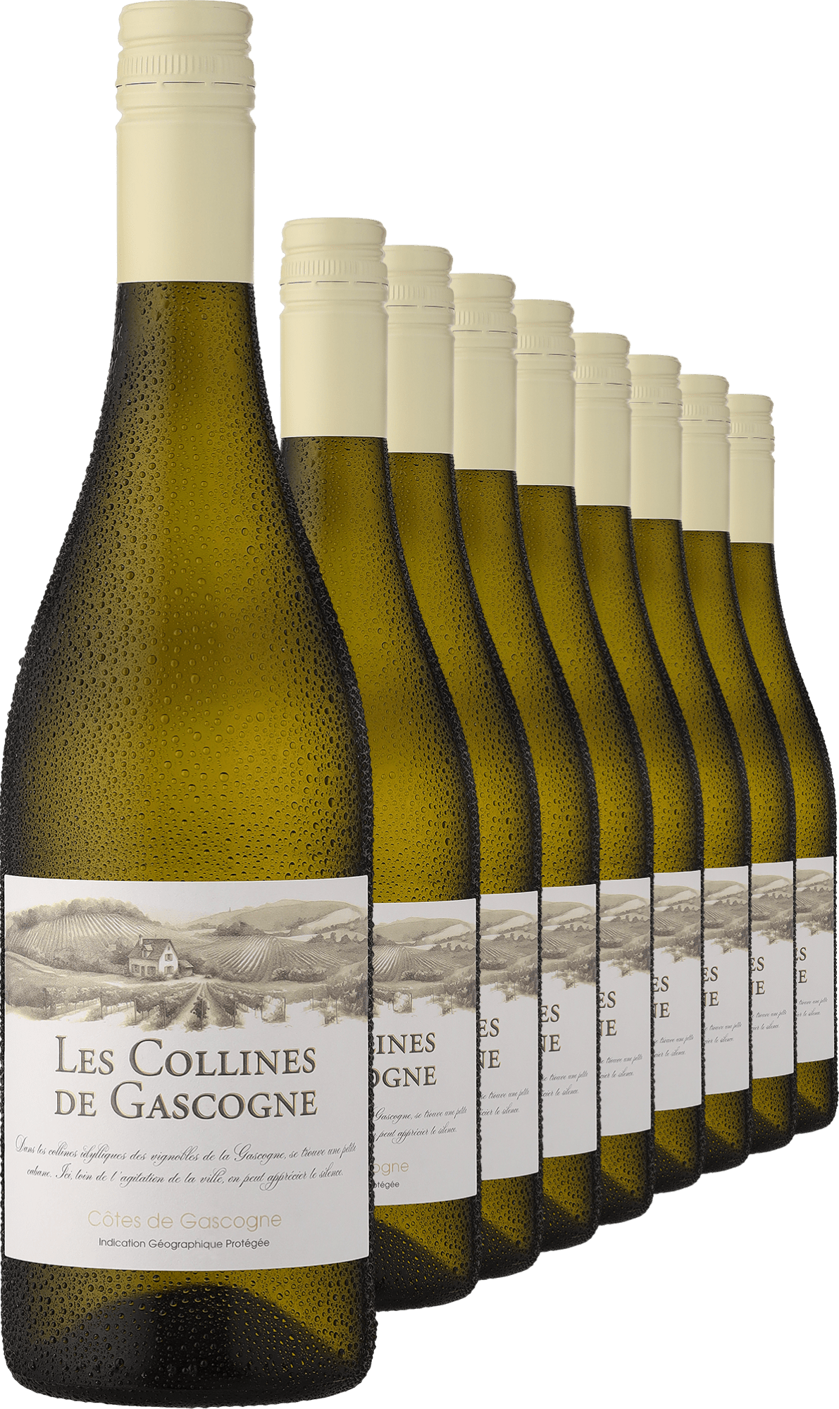2024 »Les Collines de Gascogne« Blanc im 9er-Vorratspaket