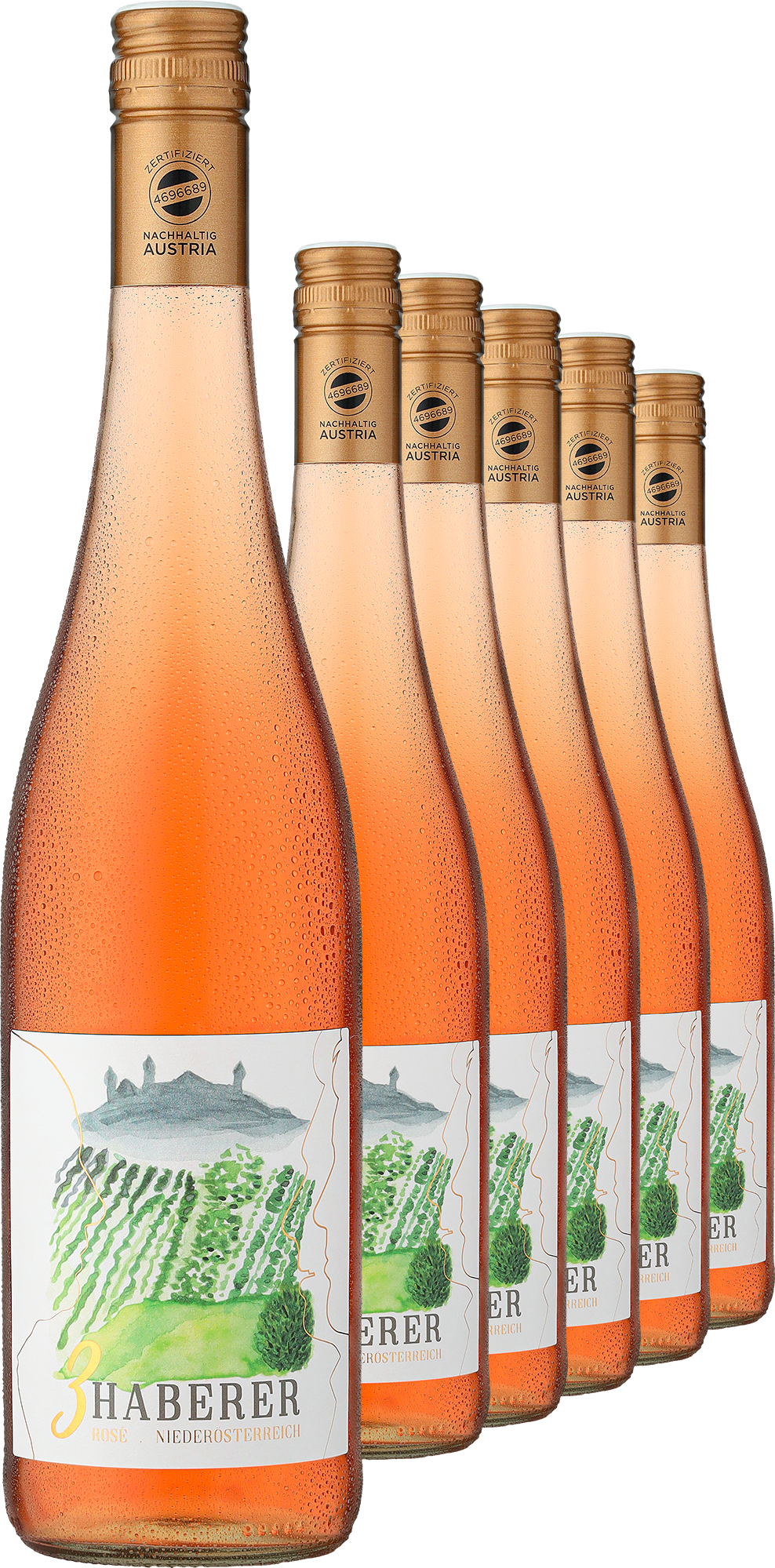2025 »3 Haberer« Rosé im 6er-Vorratspaket