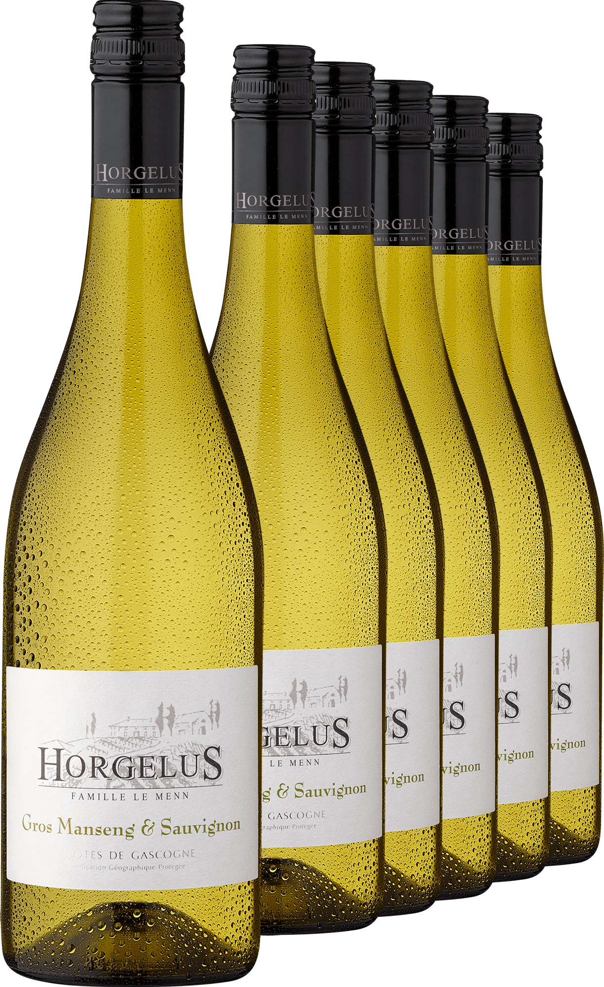 2025 Horgelus Gros Manseng & Sauvignon im 6er-Vorratspaket
