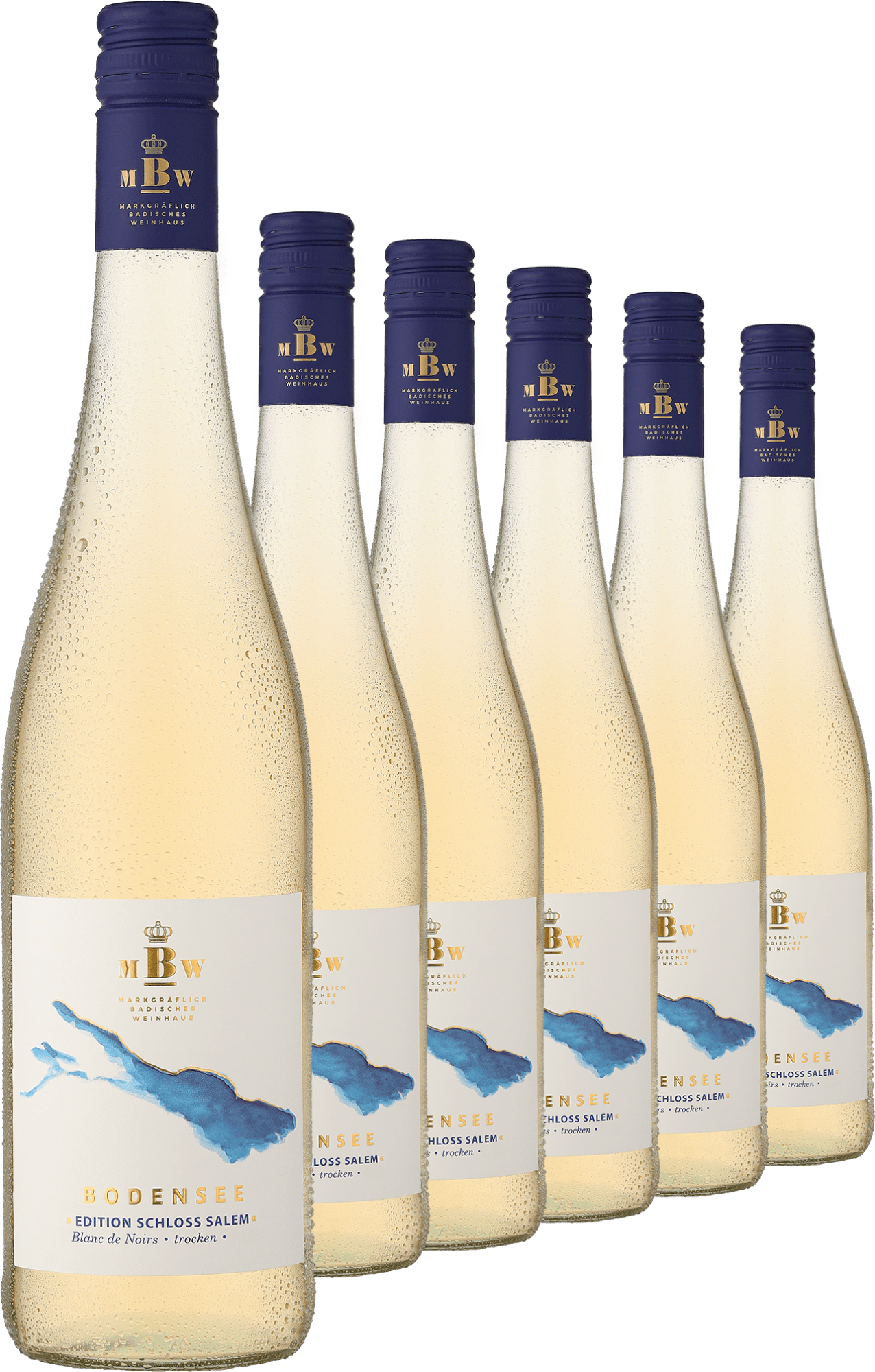 2025 Markgräflich Badisches Weinhaus Bodensee »Edition Schloss Salem« Blanc de Noirs im 6er-Vorratspaket