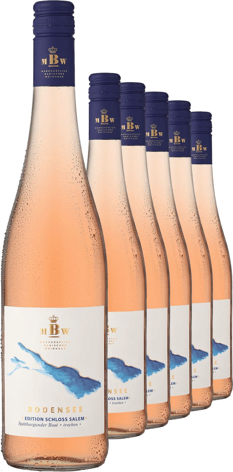 2025 Markgräflich Badisches Weinhaus Bodensee »Edition Schloss Salem« Rosé im 6er-Vorratspaket