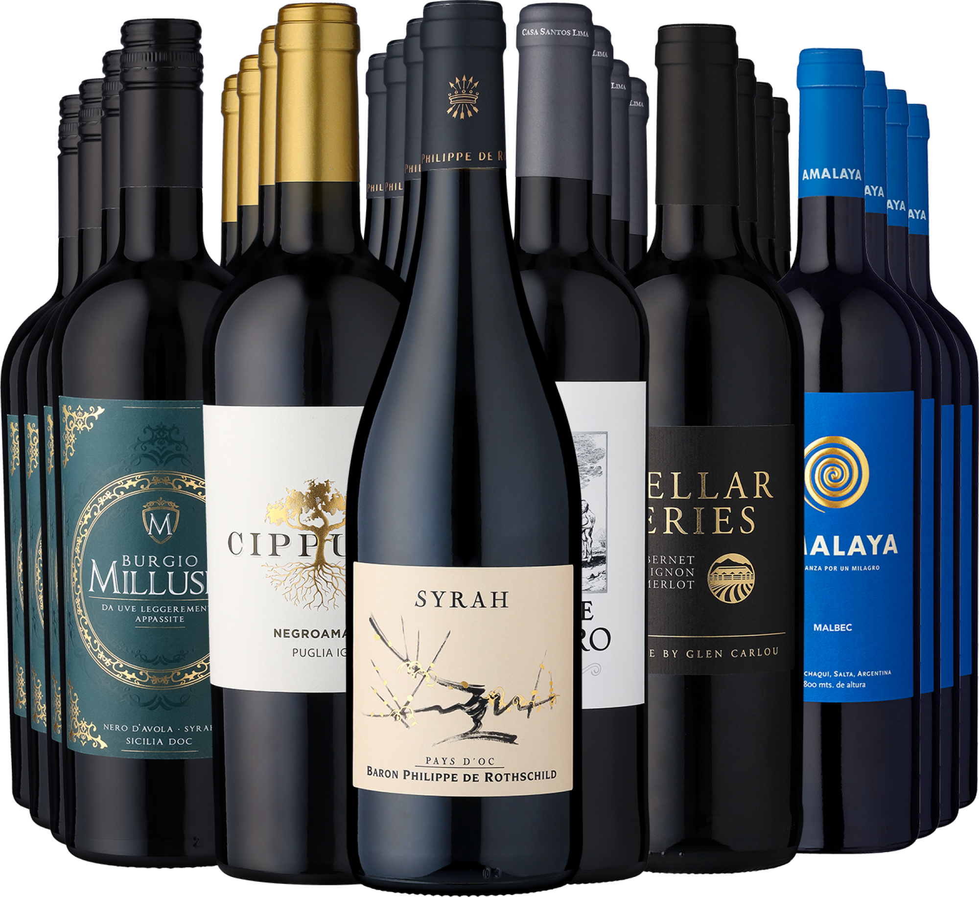 24er-Weinkellerpaket »Beste Rotweine für jeden Tag«