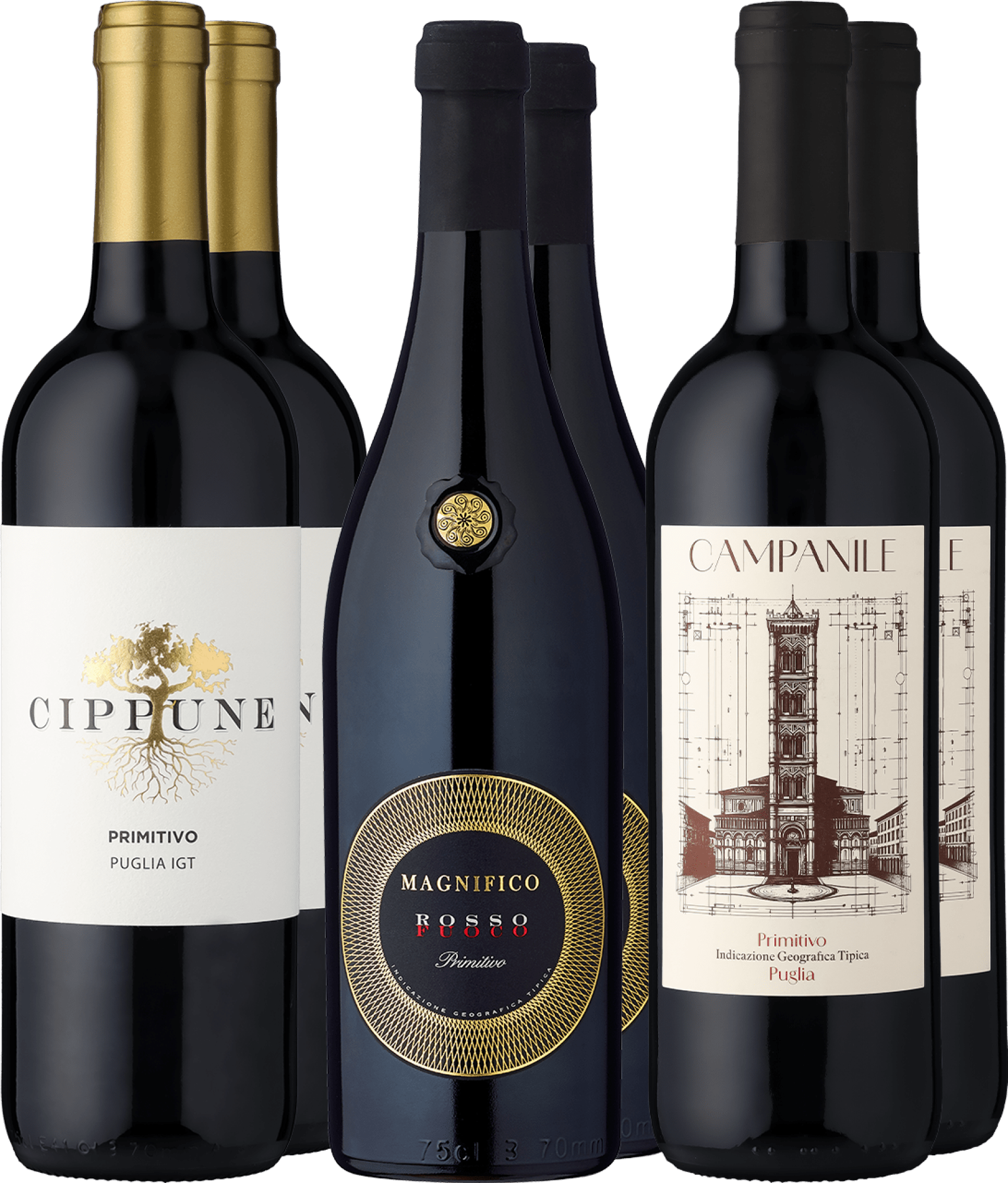 6er-Probierpaket »Best of Primitivo«