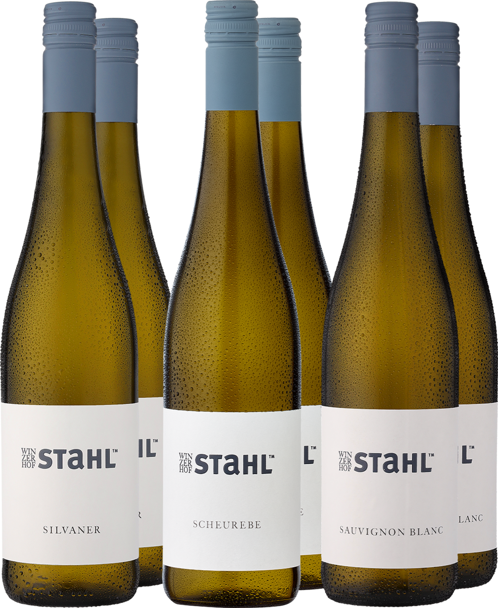 6er-Probierpaket »Weißweine vom Winzerhof Stahl«