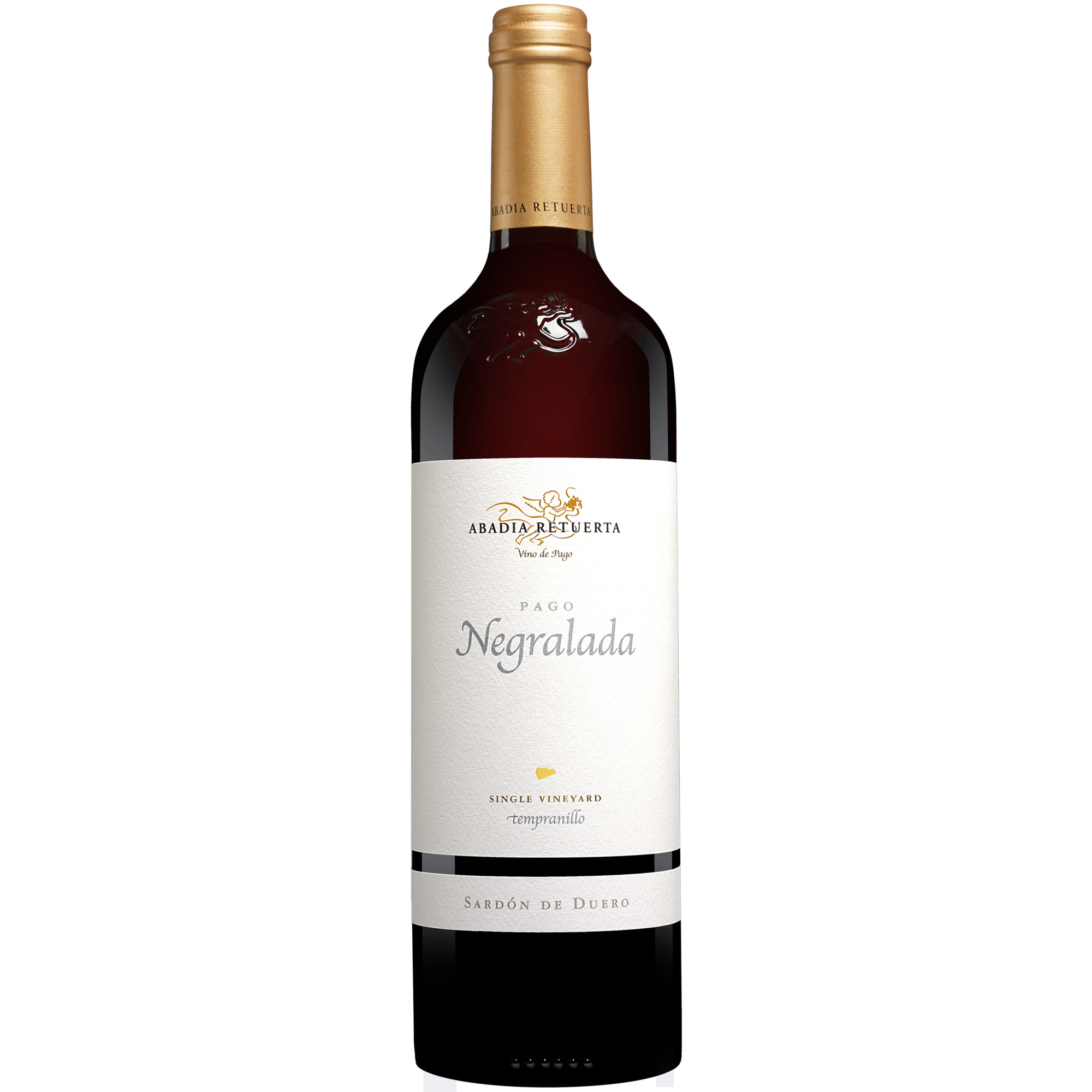 Abadía Retuerta »Pago Negralada« 2019 0.75L 14.5% Vol. Rotwein Trocken aus Spanien
