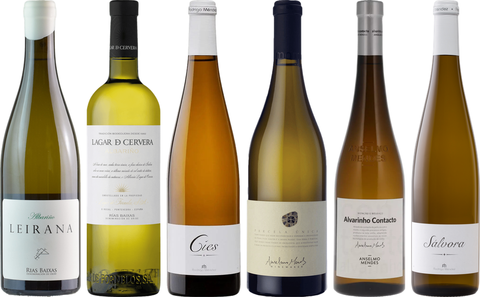 Albarino Premium Verkostungsset