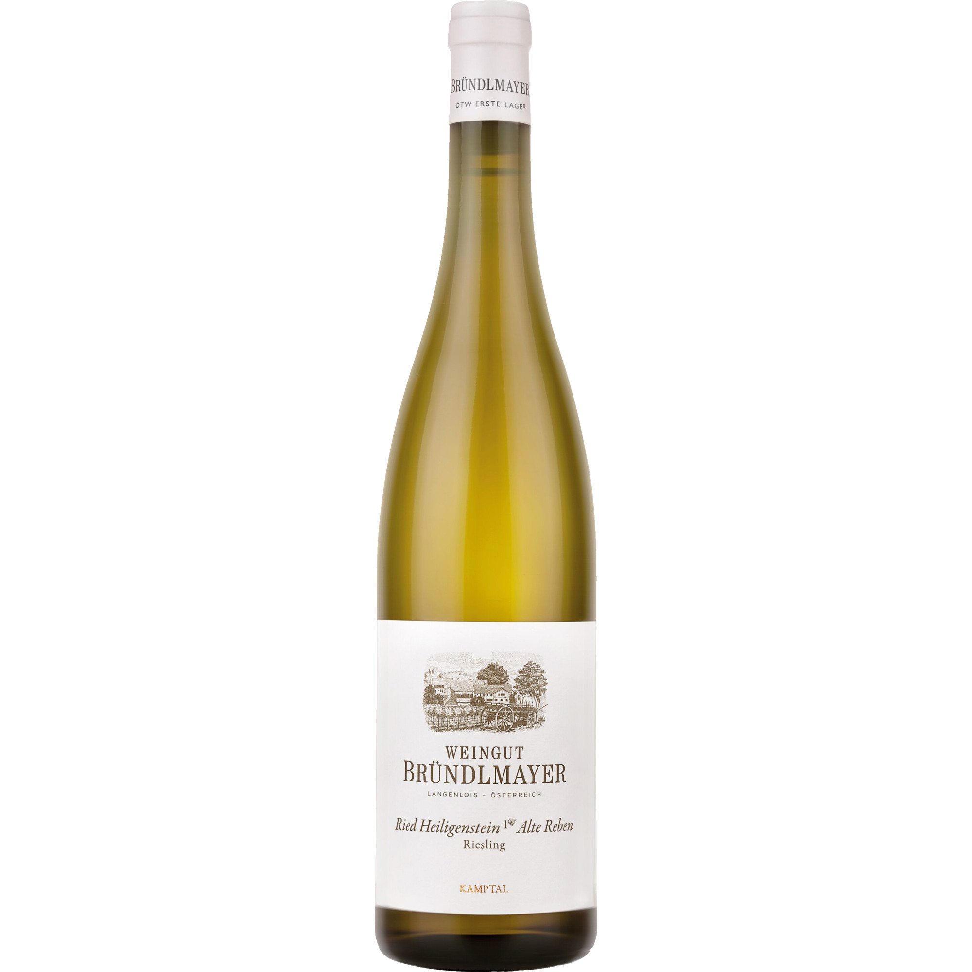 Alte Reben Ried Heiligenstein Riesling, Trocken,Kamptal, Niederösterreich, 2021, Weißwein