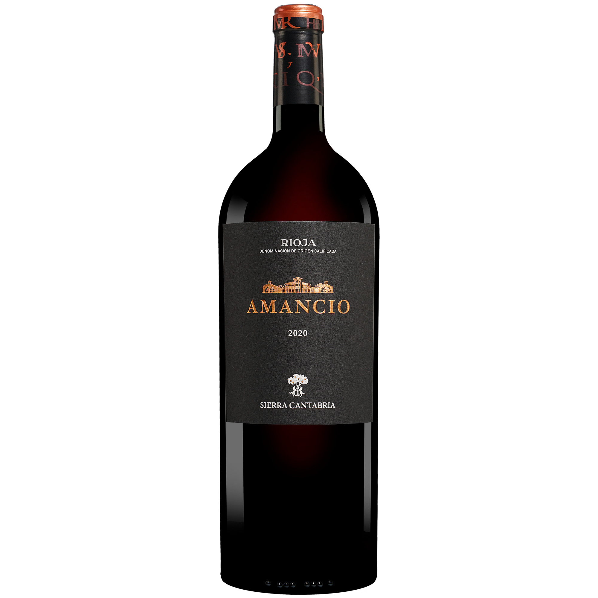 Amancio - 1,5 L. Magnum 2020 1.5L 14.5% Vol. Rotwein Trocken aus Spanien