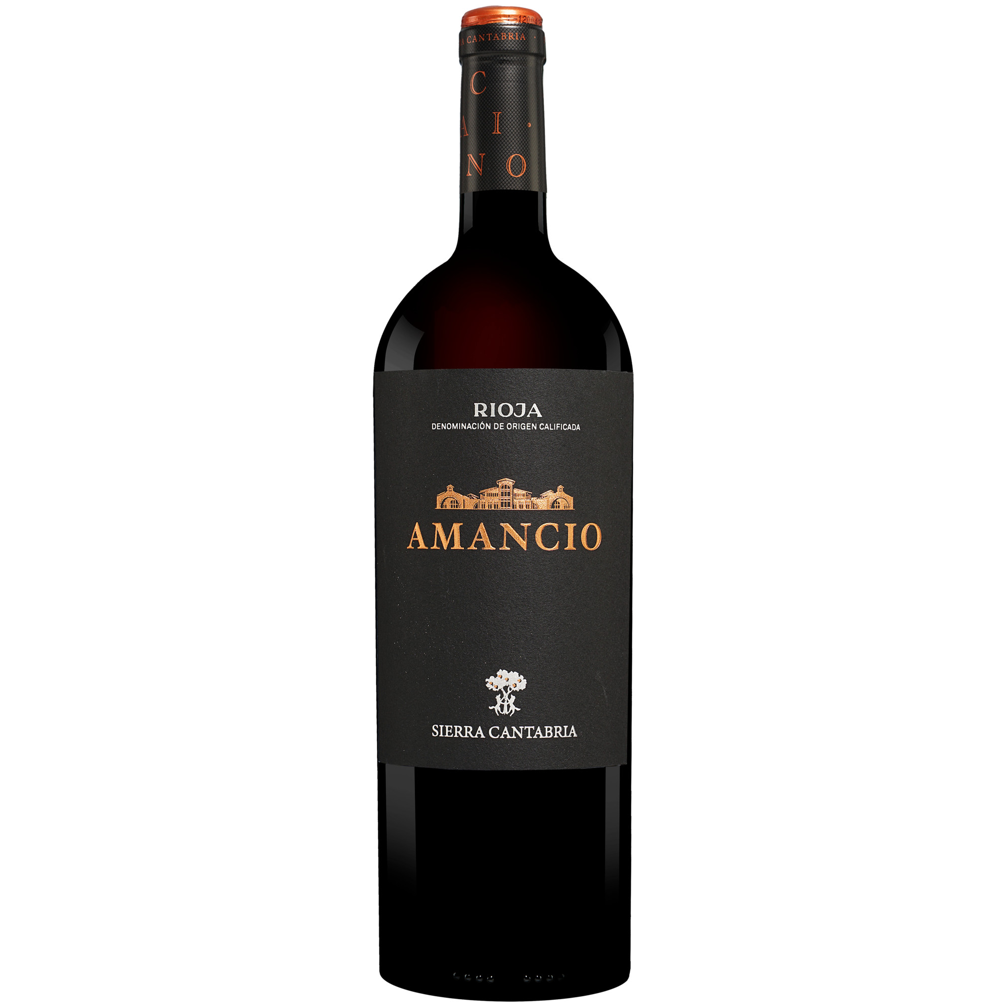 Amancio 2021 0.75L 14.5% Vol. Rotwein Trocken aus Spanien