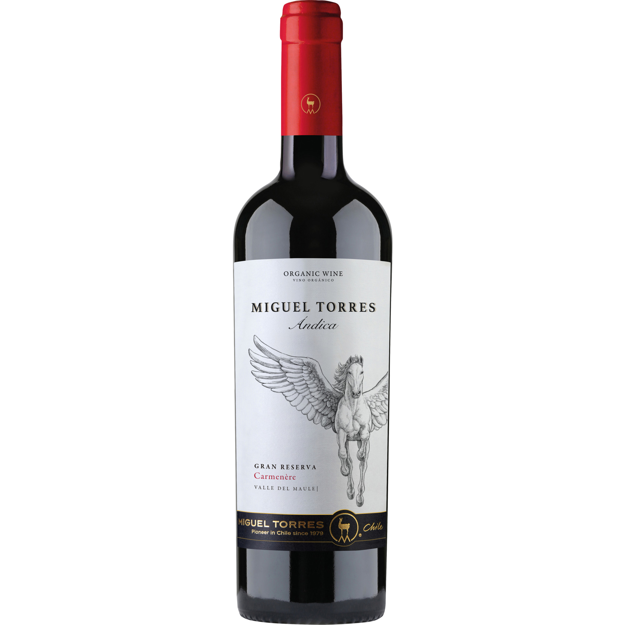 Andica Carmenere, Valle del Itata, Valle Central, 2024, Rotwein