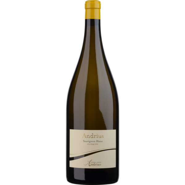 Andrius Sauvignon Blanc, Alto Adige DOC, Magnum, Südtirol, 2024, Weißwein
