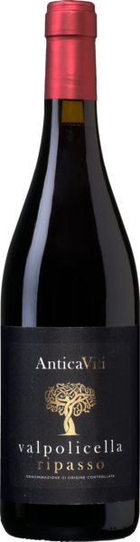 Antica Viti Valpolicella Ripasso - die Weinbörse