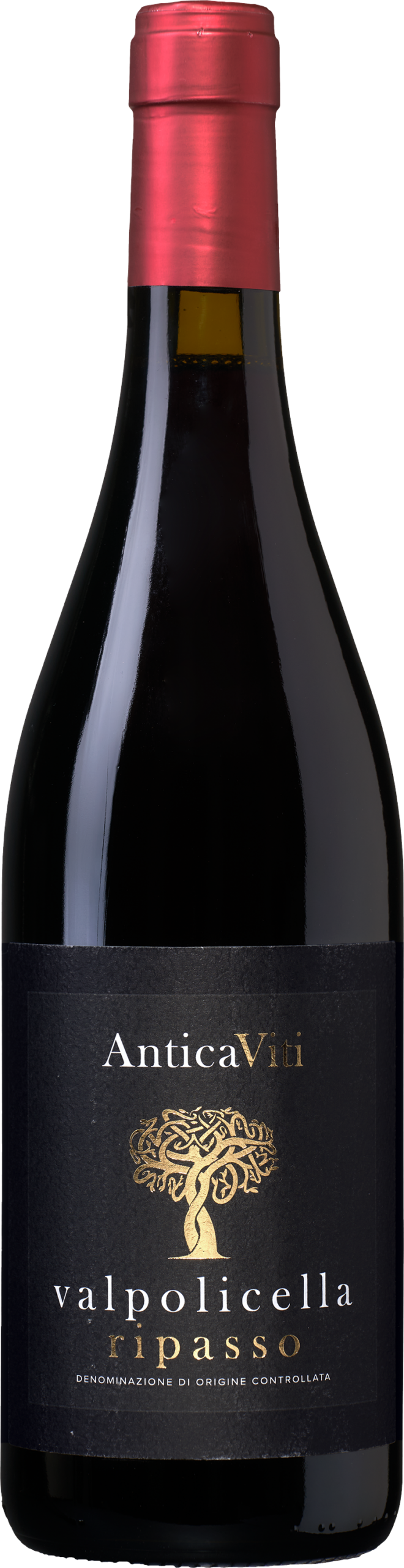 Antica Viti Valpolicella Ripasso - die Weinbörse