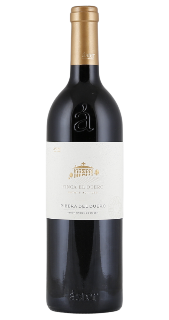 Áster Finca El Otero 2021
