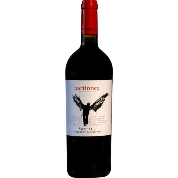 Bartinney Skyfall Cabernet Sauvignon, WO Stellenbosch, Western Cape, 2020, Rotwein