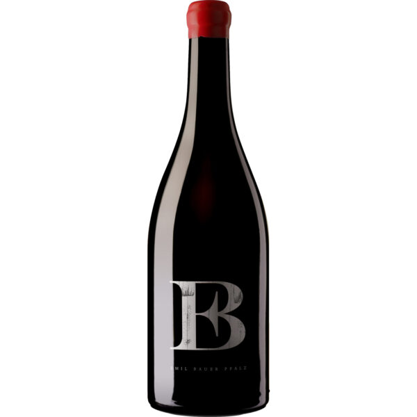 Bauer Servator Cuveé, Trocken, Pfalz, Pfalz, 2022, Rotwein