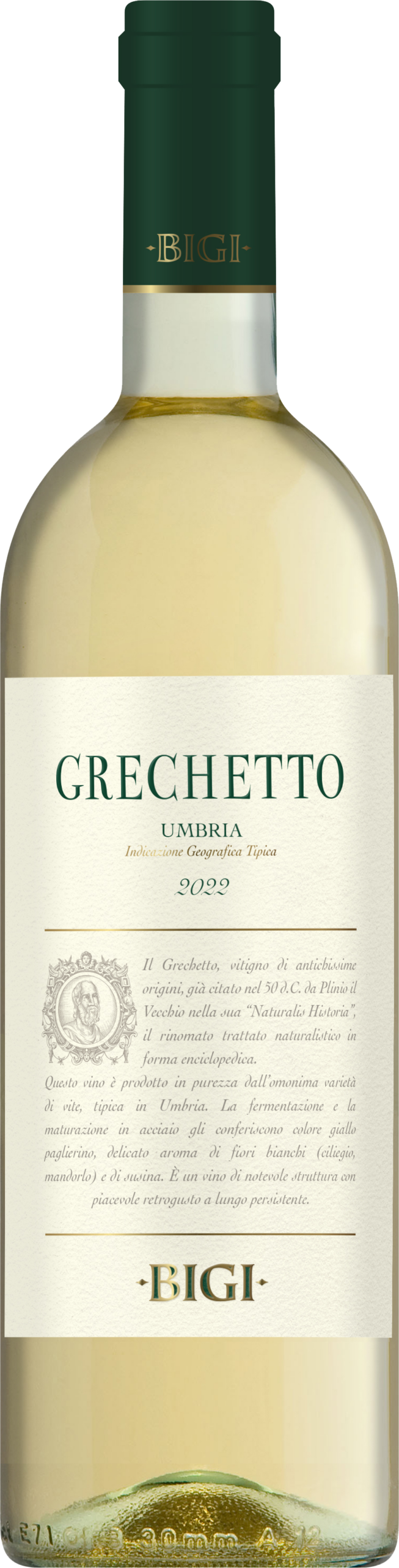 Bigi Grechetto Umbria IGT 2025