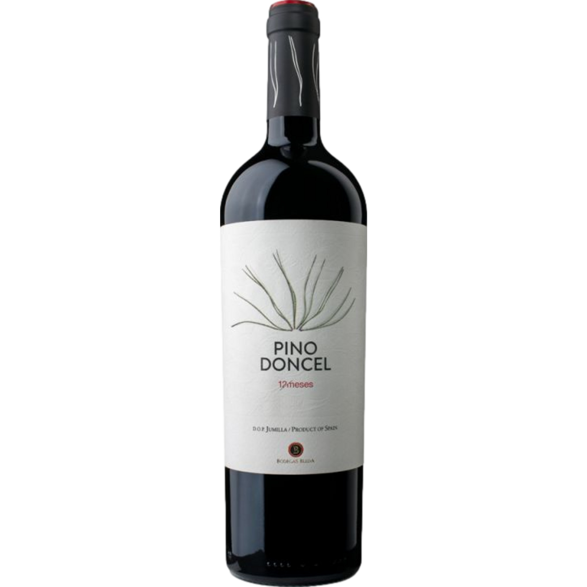Bodegas Bleda Pino Doncel 12 Meses, Jumilla DO, Magnum, Valencia, 2023, Rotwein