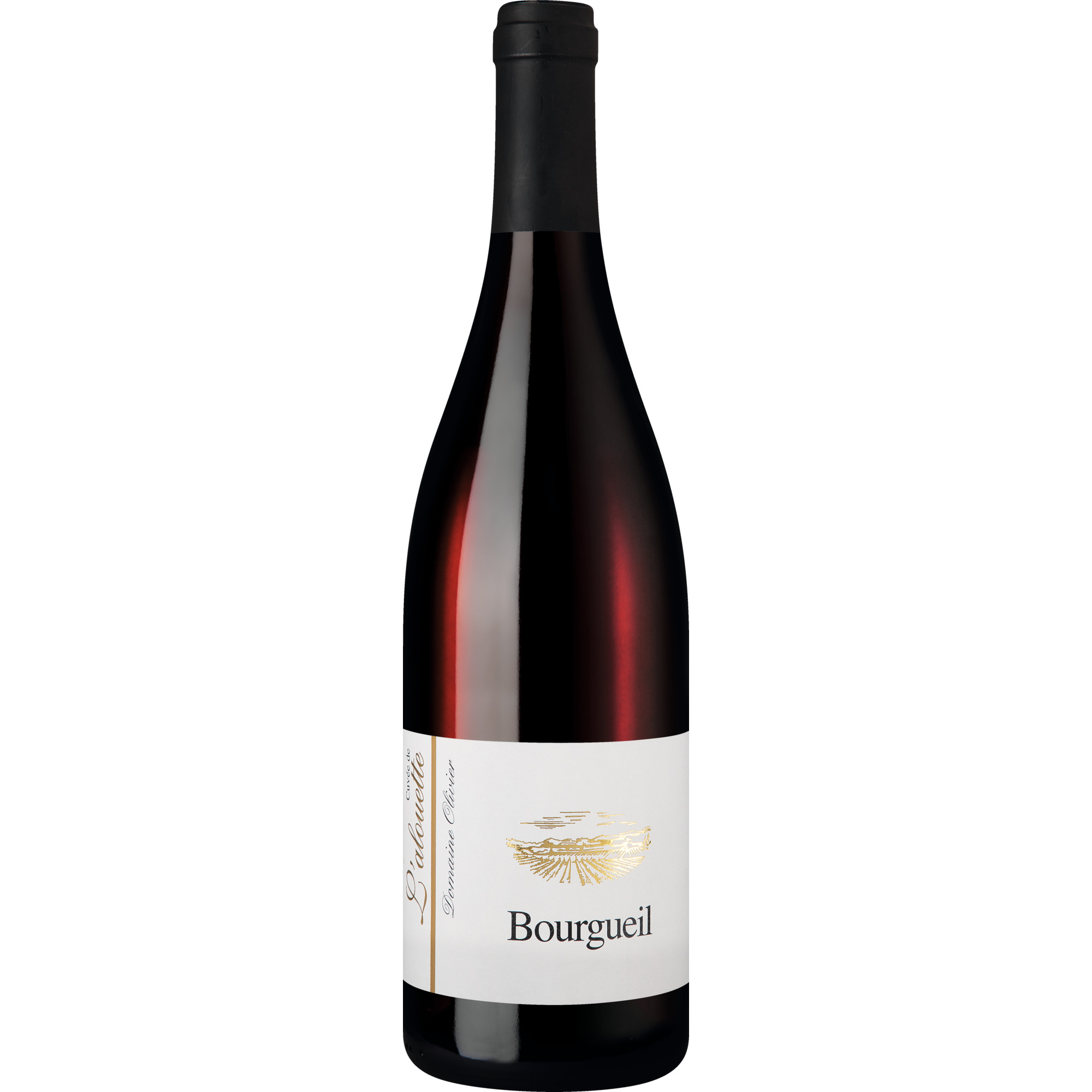 Bourgueil Vieilles Vignes, Bourgueil AOP, Loire, 2023, Rotwein