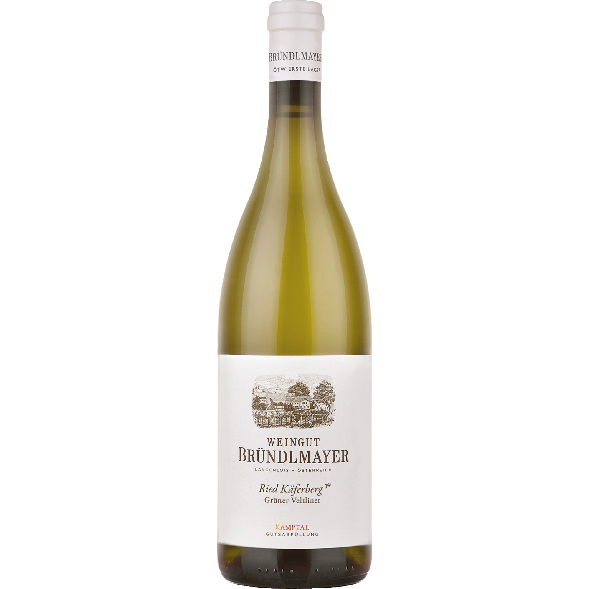 Bründlmayer Käferberg Ried Grüner Veltliner, Kamptal, Niederösterreich, 2020, Weißwein
