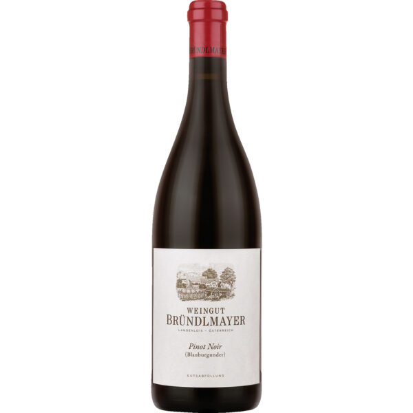 Bründlmayer Pinot Noir Bio, Trocken, Niederösterreich, Niederösterreich, 2022, Rotwein