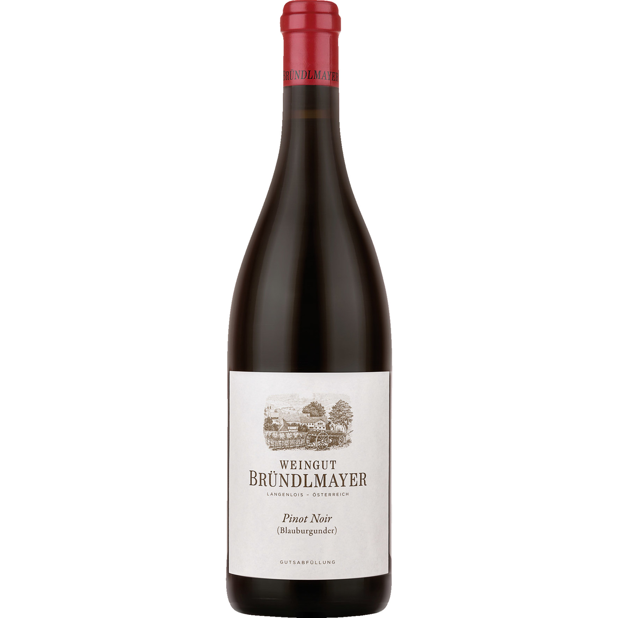 Bründlmayer Pinot Noir Bio, Trocken, Niederösterreich, Niederösterreich, 2022, Rotwein