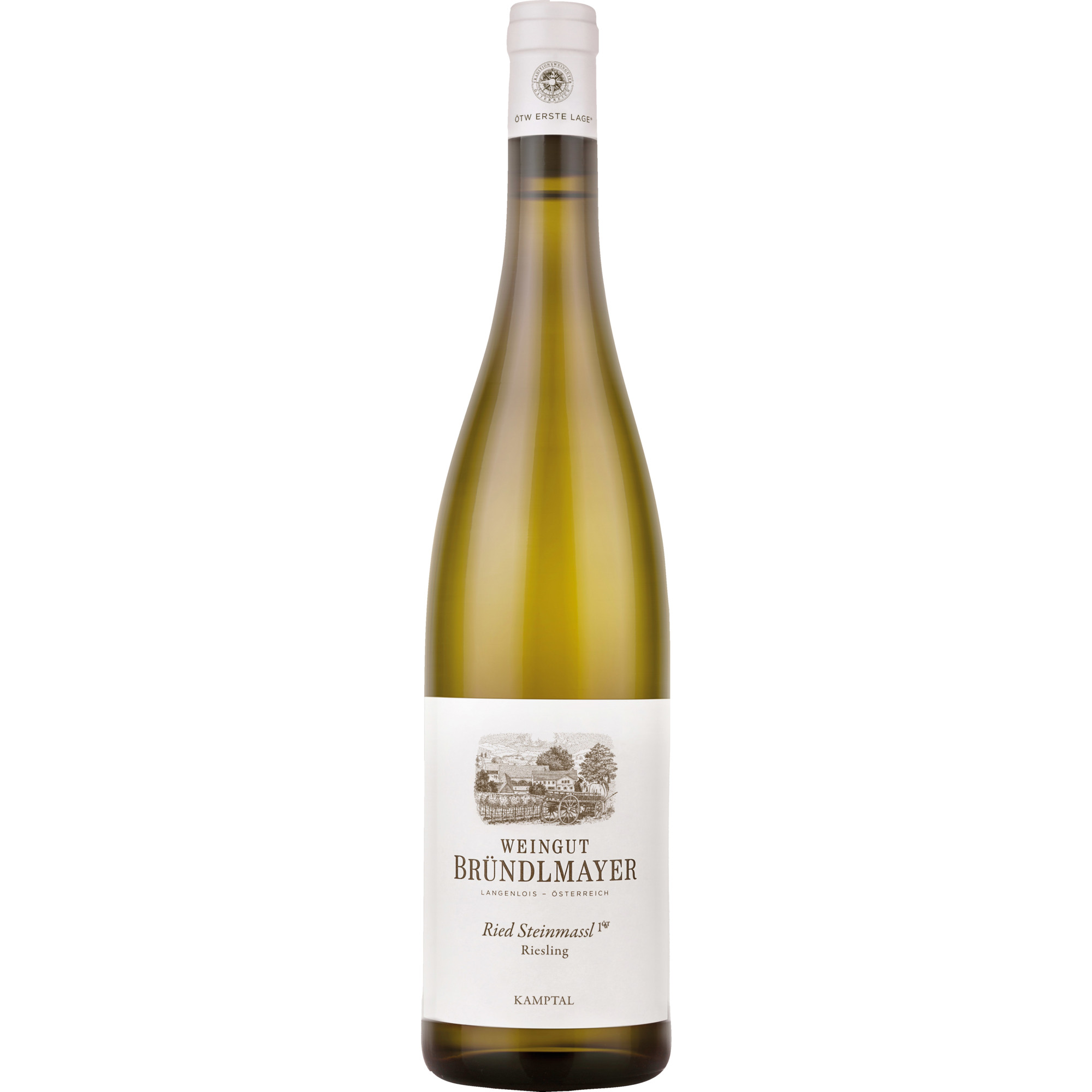 Bründlmayer Ried Steinmassl Riesling Bio, Trocken, Kamptal, Niederösterreich, 2020, Weißwein