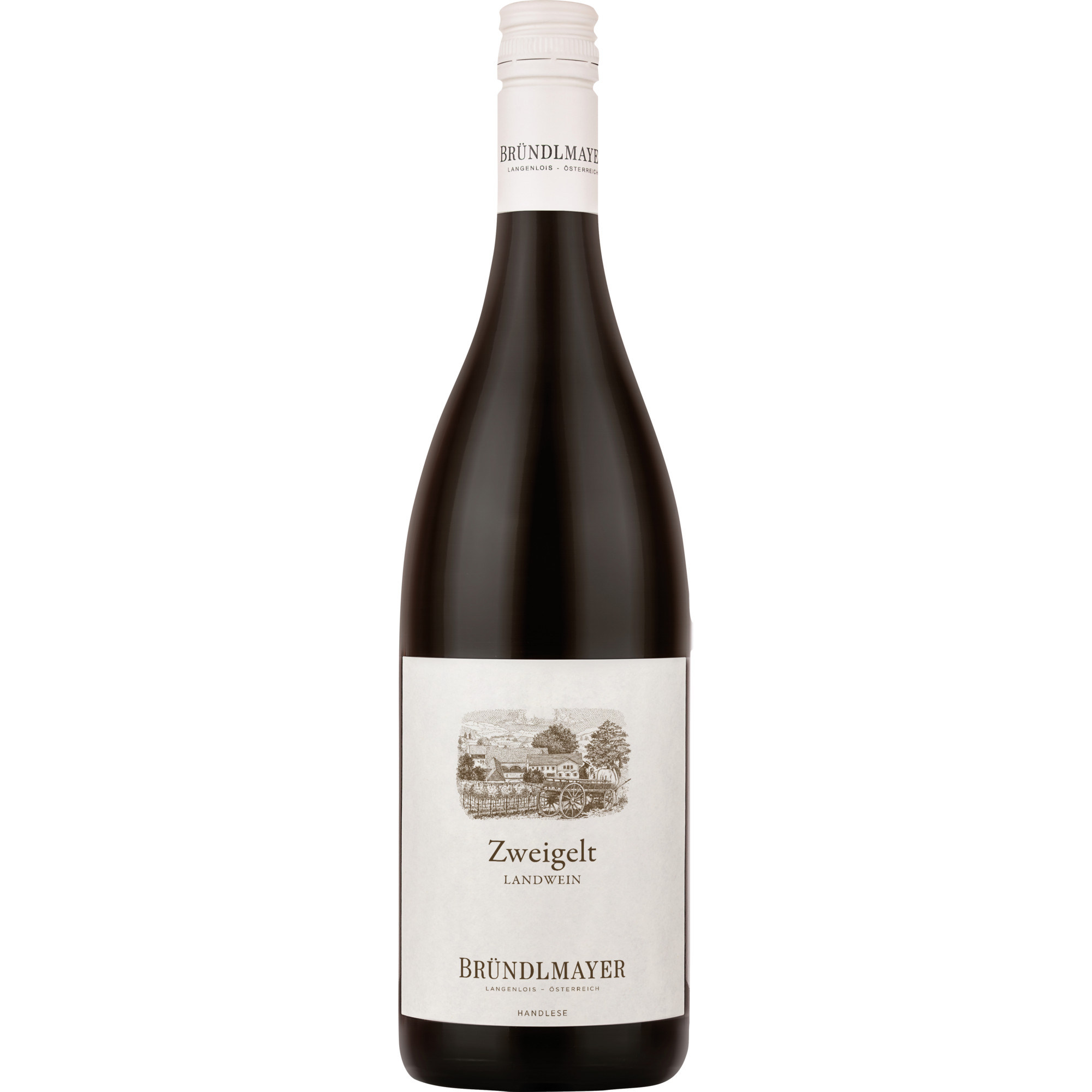 Bründlmayer Zweigelt Landwein, Trocken, Niederösterreich, Niederösterreich, 2021, Rotwein
