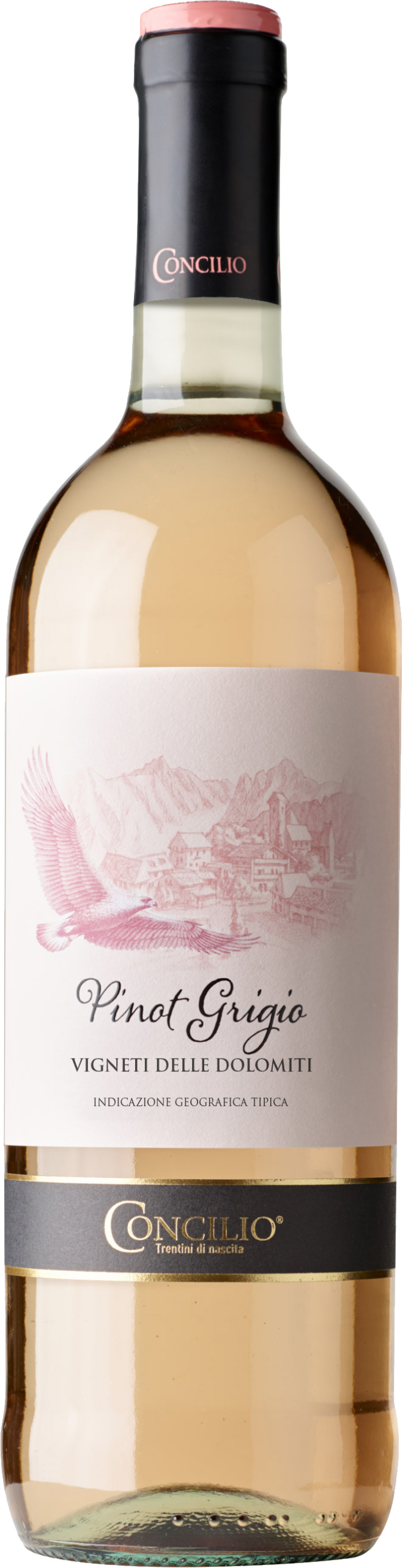 Cantina di Trento Classici Pinot Grigio delle Dolomiti Rosé IGT 2024