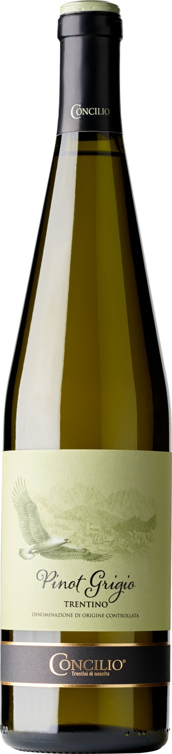 Cantina di Trento Classici Pinot Grigio Trentino DOC 2024