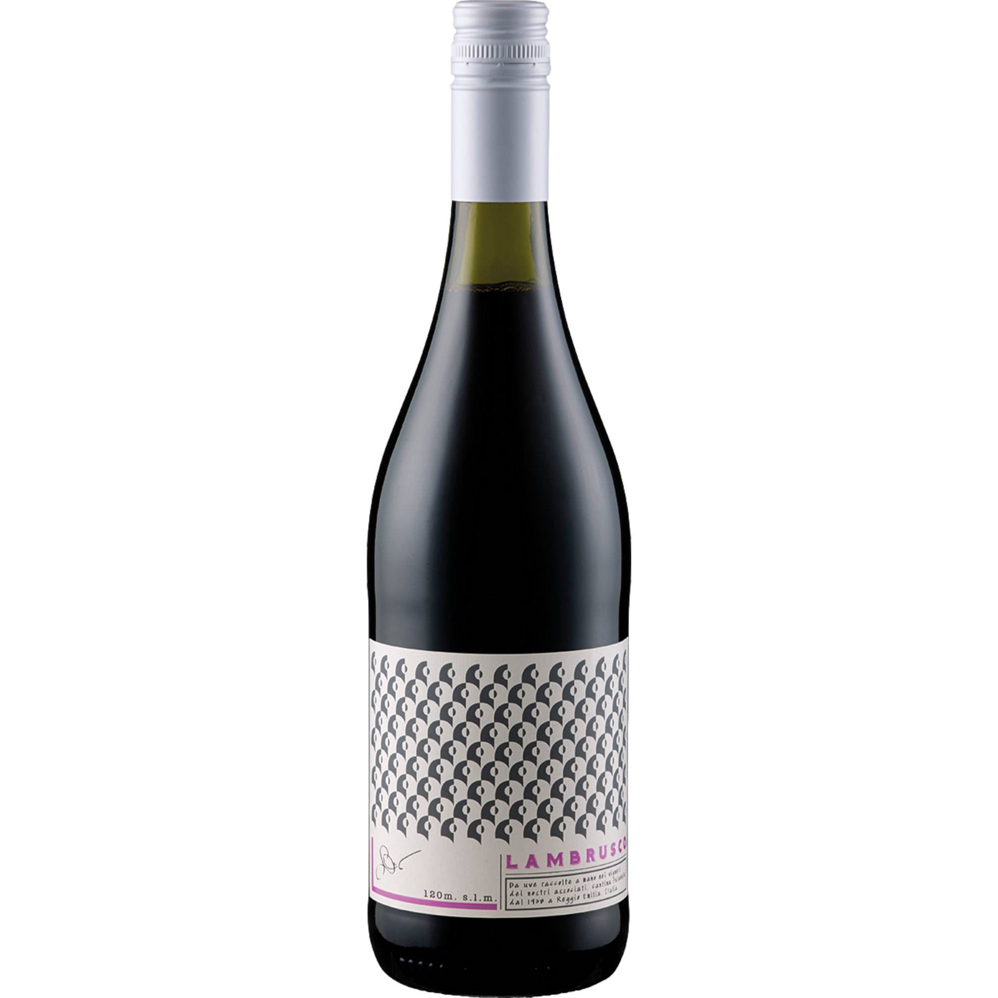 Cantina Puianello Lambrusco Grasparossa, Lambrusco Grasparossa di Castelvetro DOC, Emilia Romagna, Rotwein