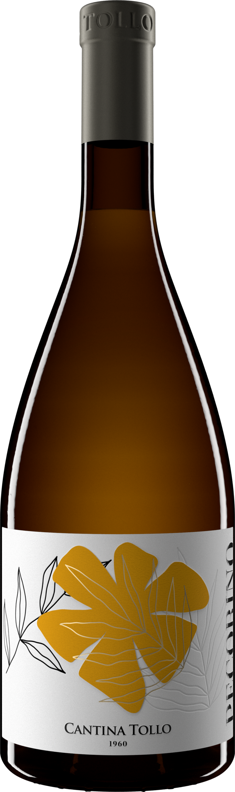 Cantina Tollo Pecorino Terre d'Abruzzo IGP 2025