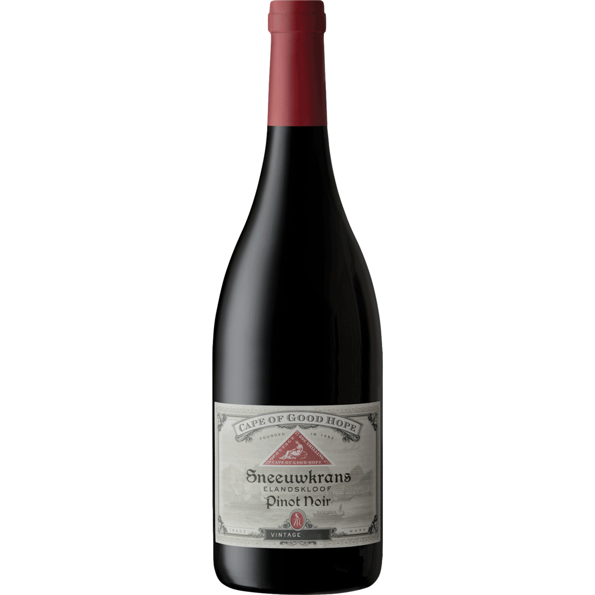 Cape of Good Hope Sneeuwkans Pinot Noir, WO Elandskloof, Western Cape, 2022, Rotwein