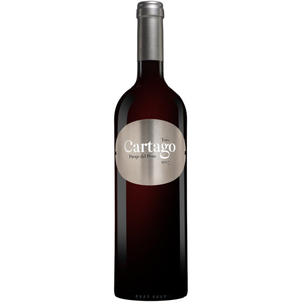 Cartago Paraje del Pozo 2017 0.75L 14.5% Vol. Rotwein Trocken aus Spanien