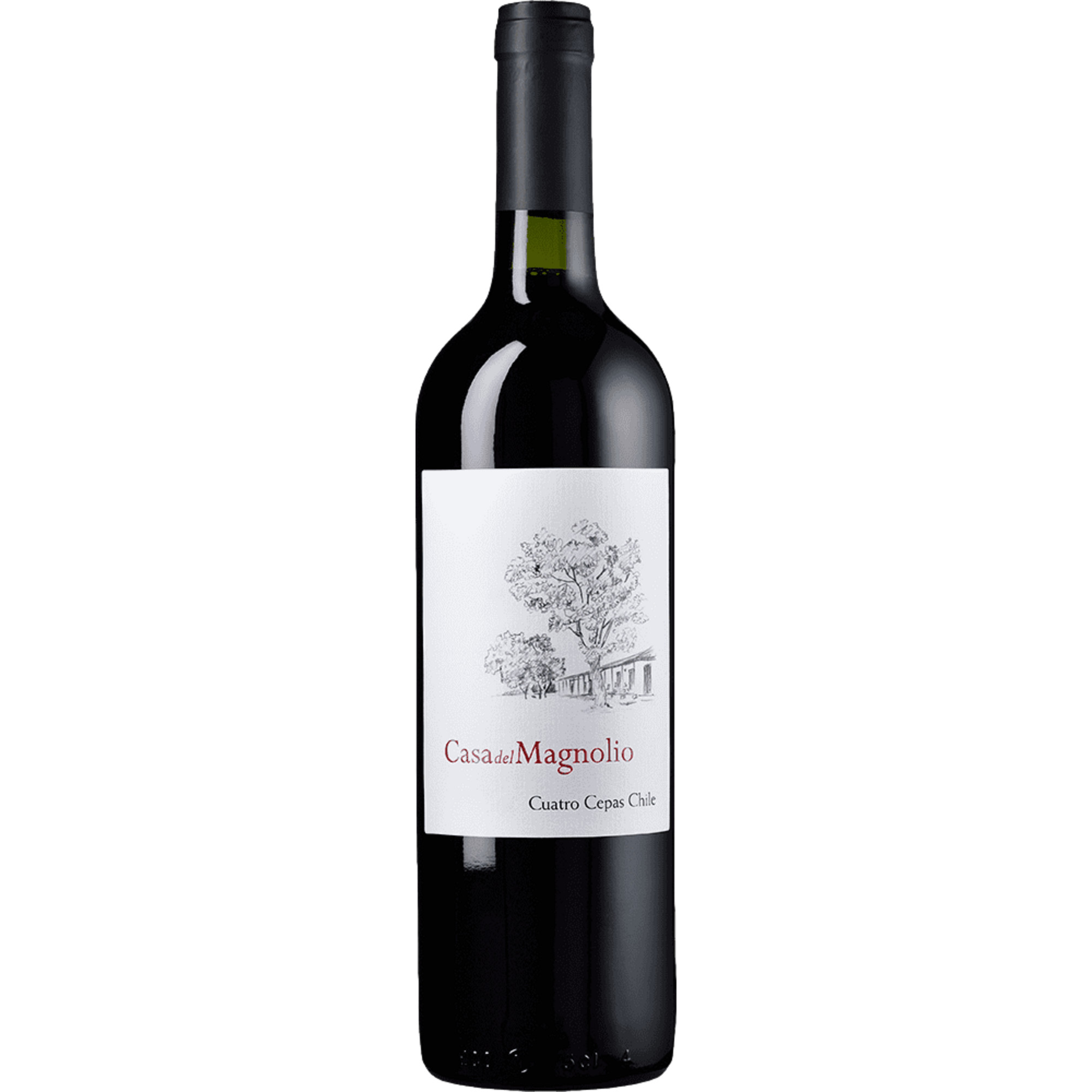 Casa Del Magnolio, Valle del Aconcagua, Valle de Aconcagua, 2019, Rotwein