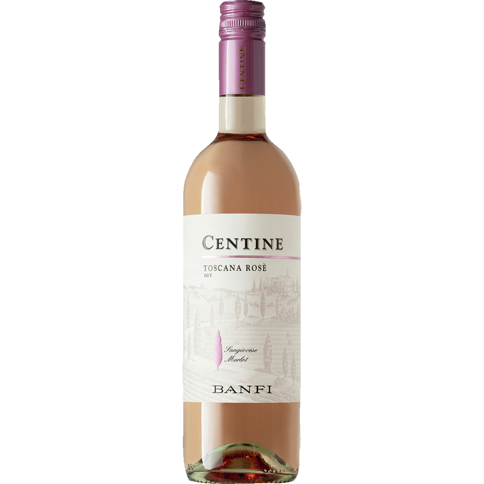 Centine Rosato, Toscana IGT, Toskana, 2023, Roséwein