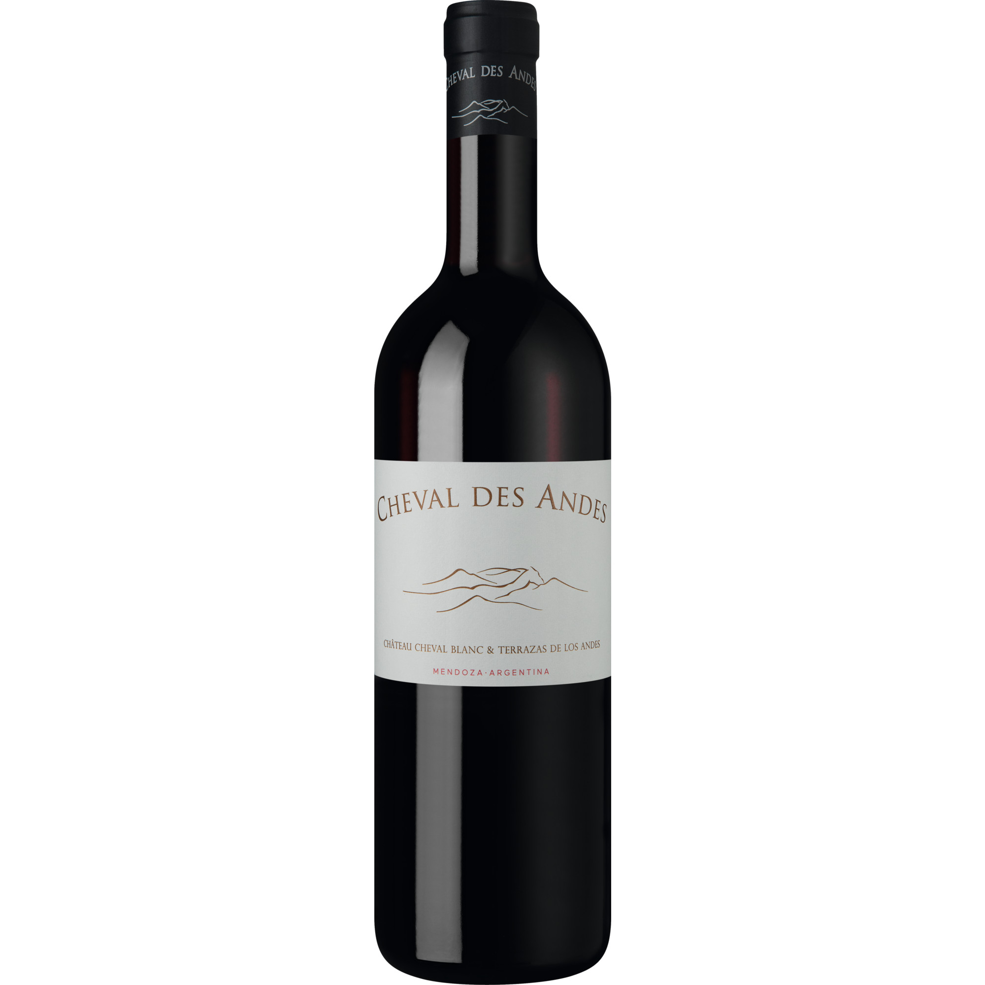 Cheval des Andes, Luján de Cuyo, Mendoza, Mendoza, 2020, Rotwein
