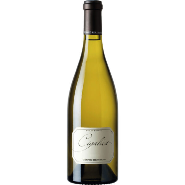 Cigalus Blanc, Aude Hauterive IGP, Languedoc-Roussillon, 2024, Weißwein