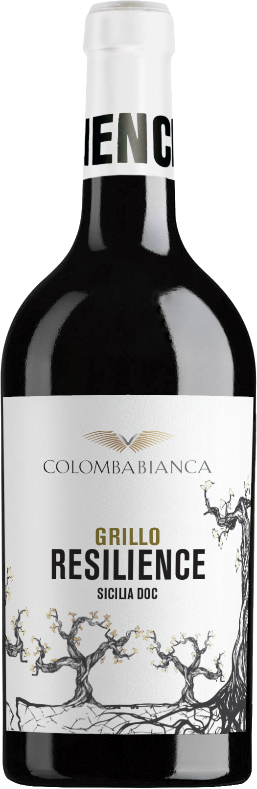 Colomba Bianca Resilience Grillo Sicilia DOC 2024 BIO
