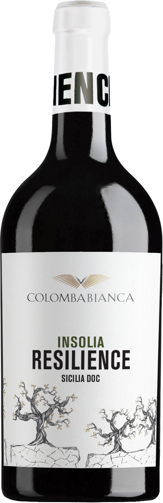 Colomba Bianca Resilience Insolia Sicilia DOC 2024 BIO