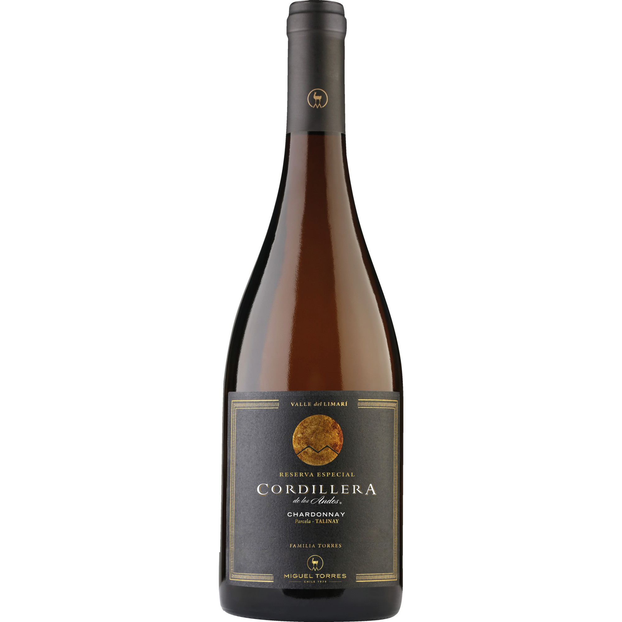 Cordillera Chardonnay, Valle del Limari, Coquimbo, 2025, Weißwein