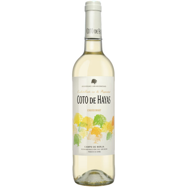 Coto de Hayas Blanco 2025 0.75L 13% Vol. Weißwein aus Spanien