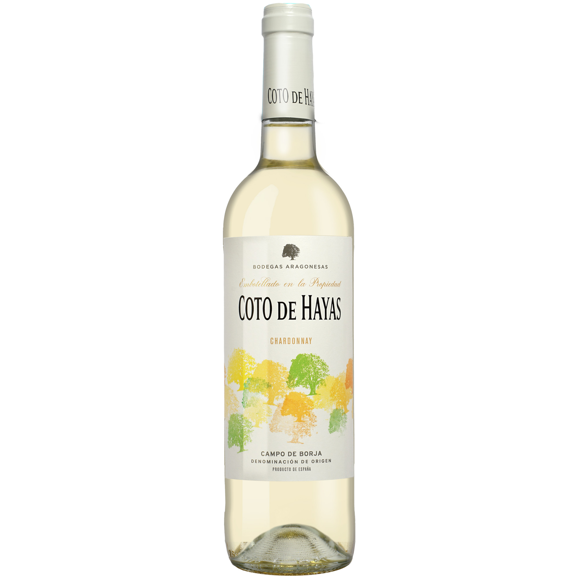 Coto de Hayas Blanco 2025 0.75L 13% Vol. Weißwein aus Spanien