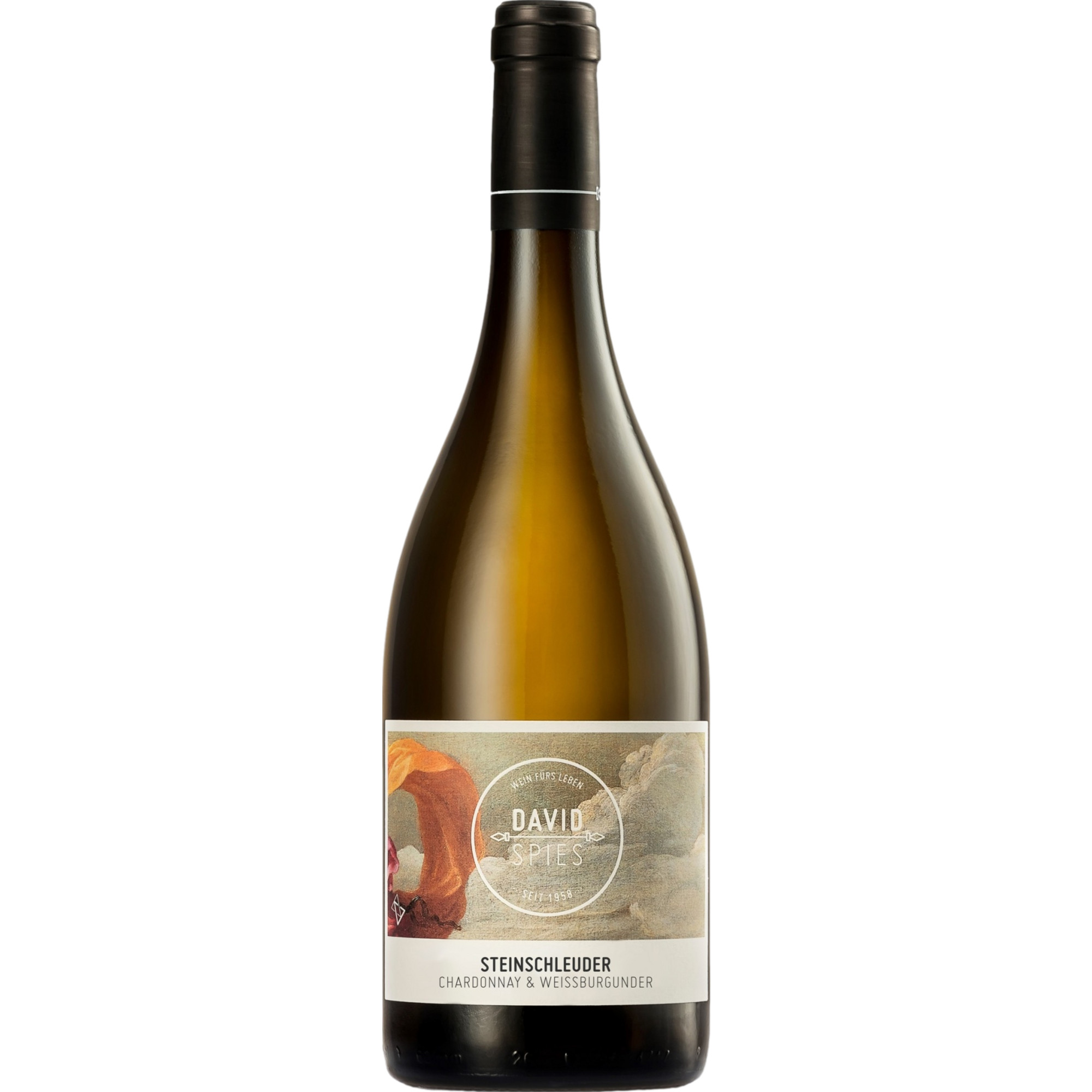 David Spies Steinschleuder Chardonnay Weißburgunde, Trocken, Rheinhessen, Rheinhessen, 2023, Weißwein