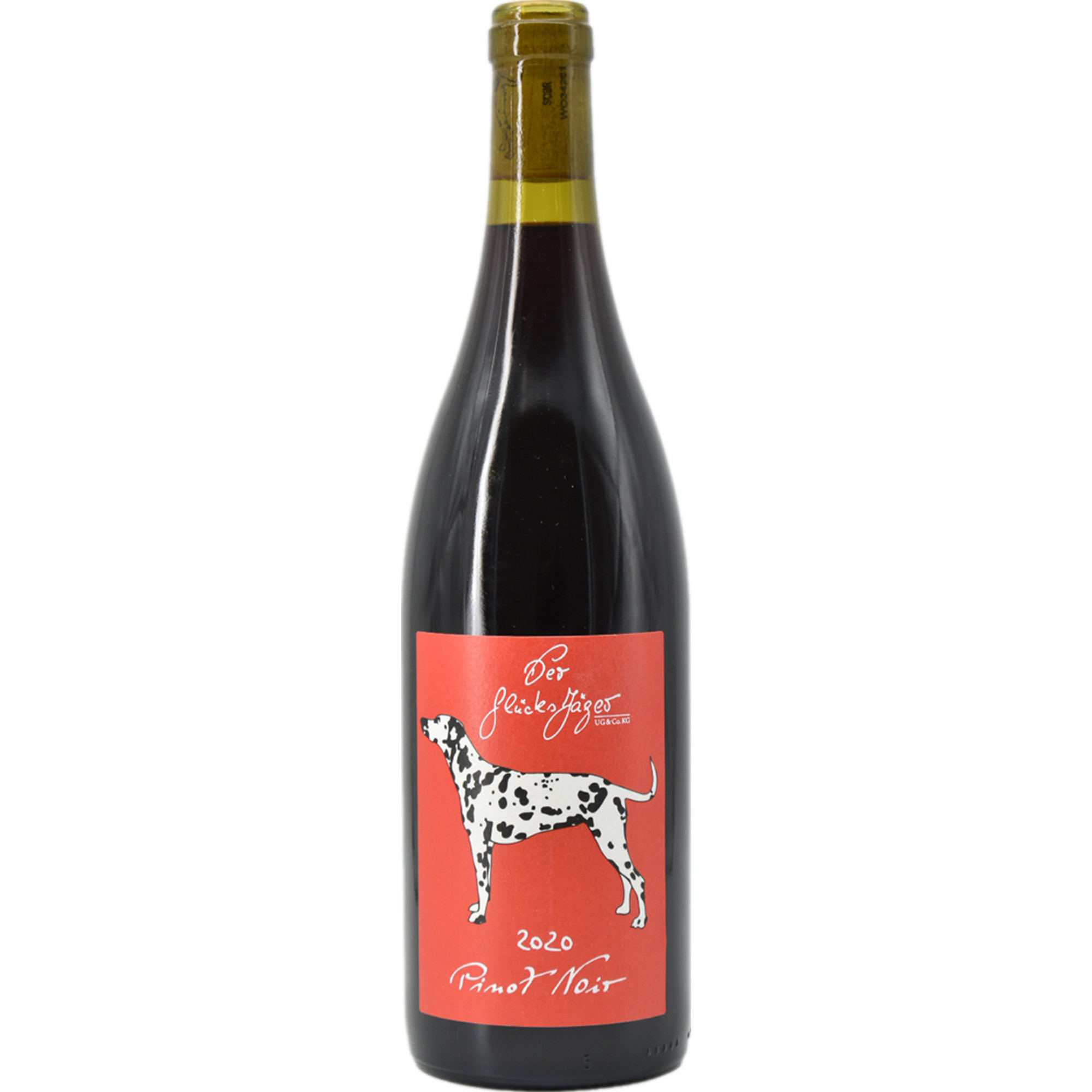Der Glücksjäger Pinot Noir, Trocken, Pfälzer Landwein, Pfalz, 2020, Rotwein