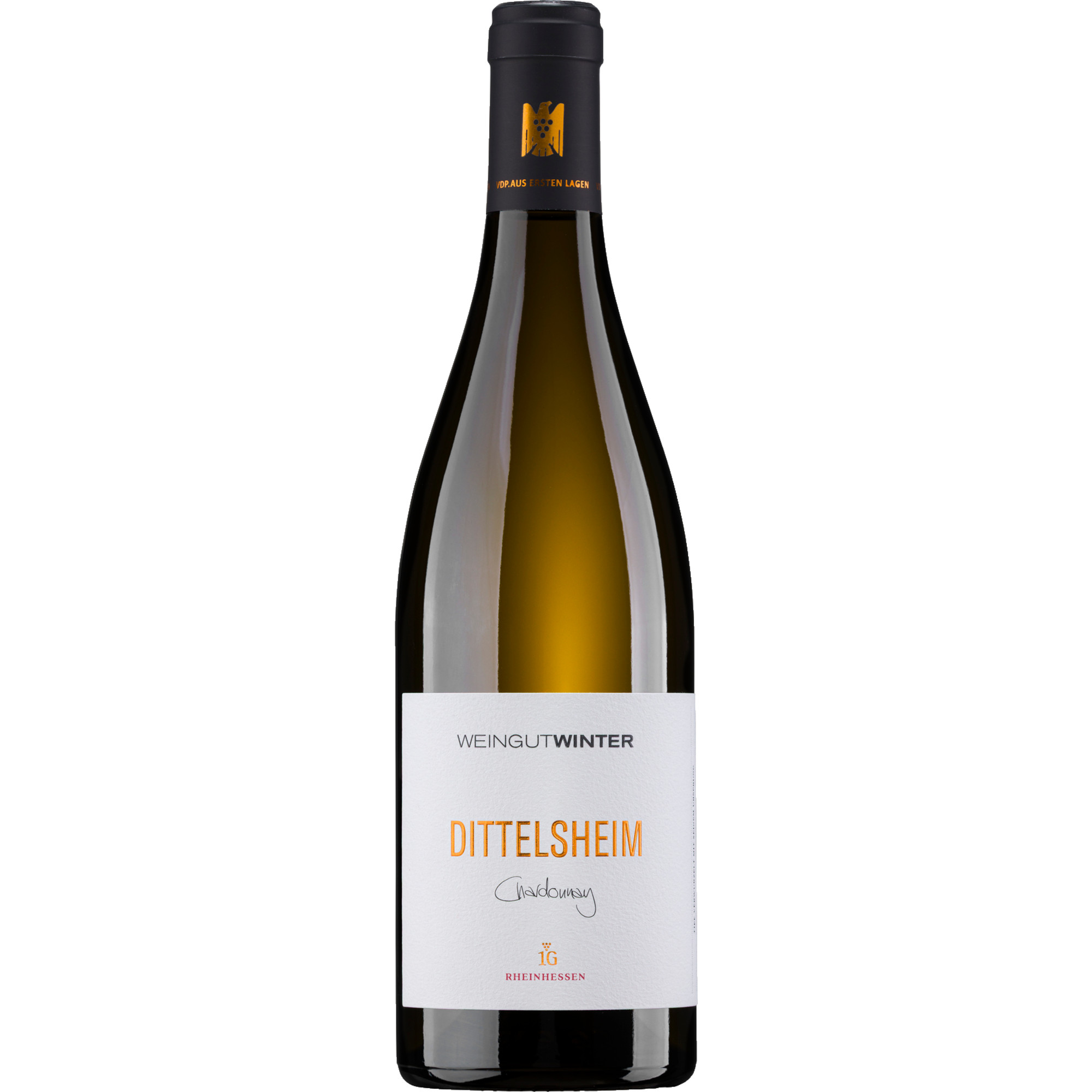 Dittelsheim Chardonnay Erstes Gewächs, Trocken, Rheinhessen, Rheinhessen, 2023, Weißwein