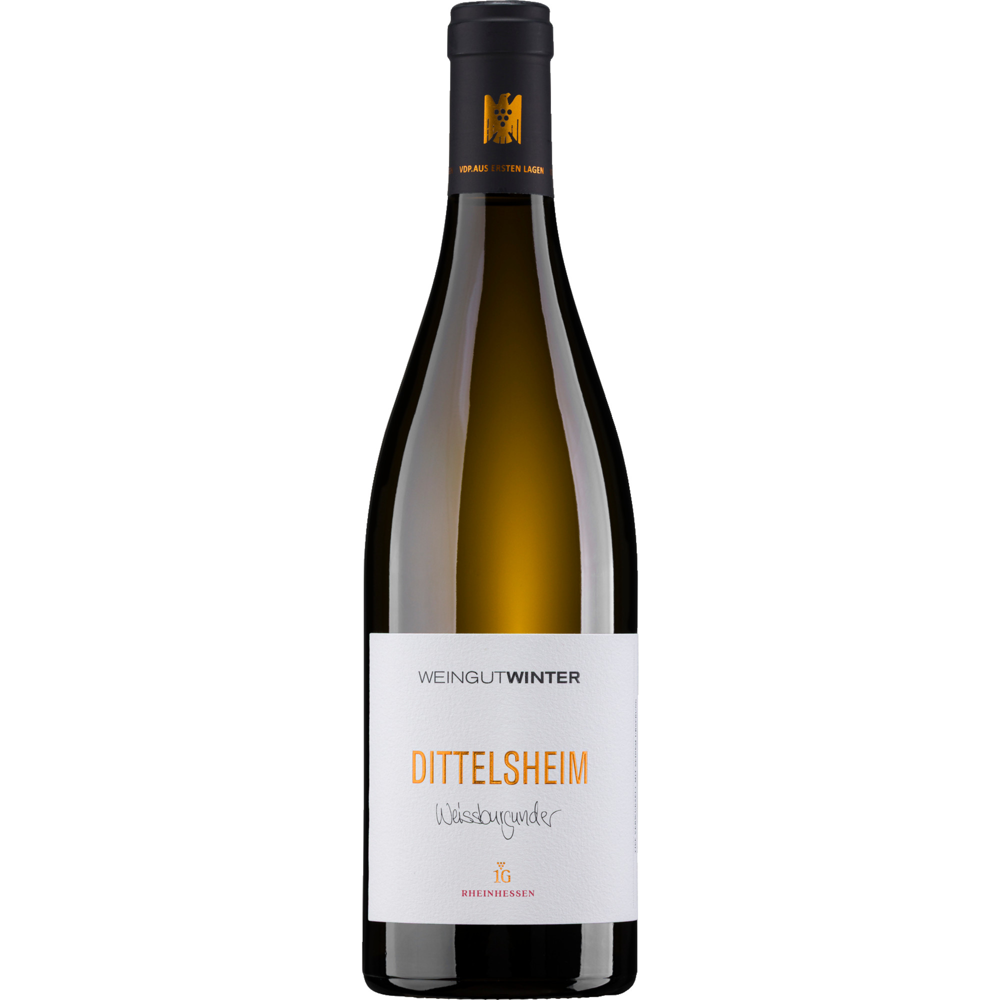 Dittelsheim Weissburgunder Erstes Gewächs, Trocken, Rheinhessen, Rheinhessen, 2023, Weißwein
