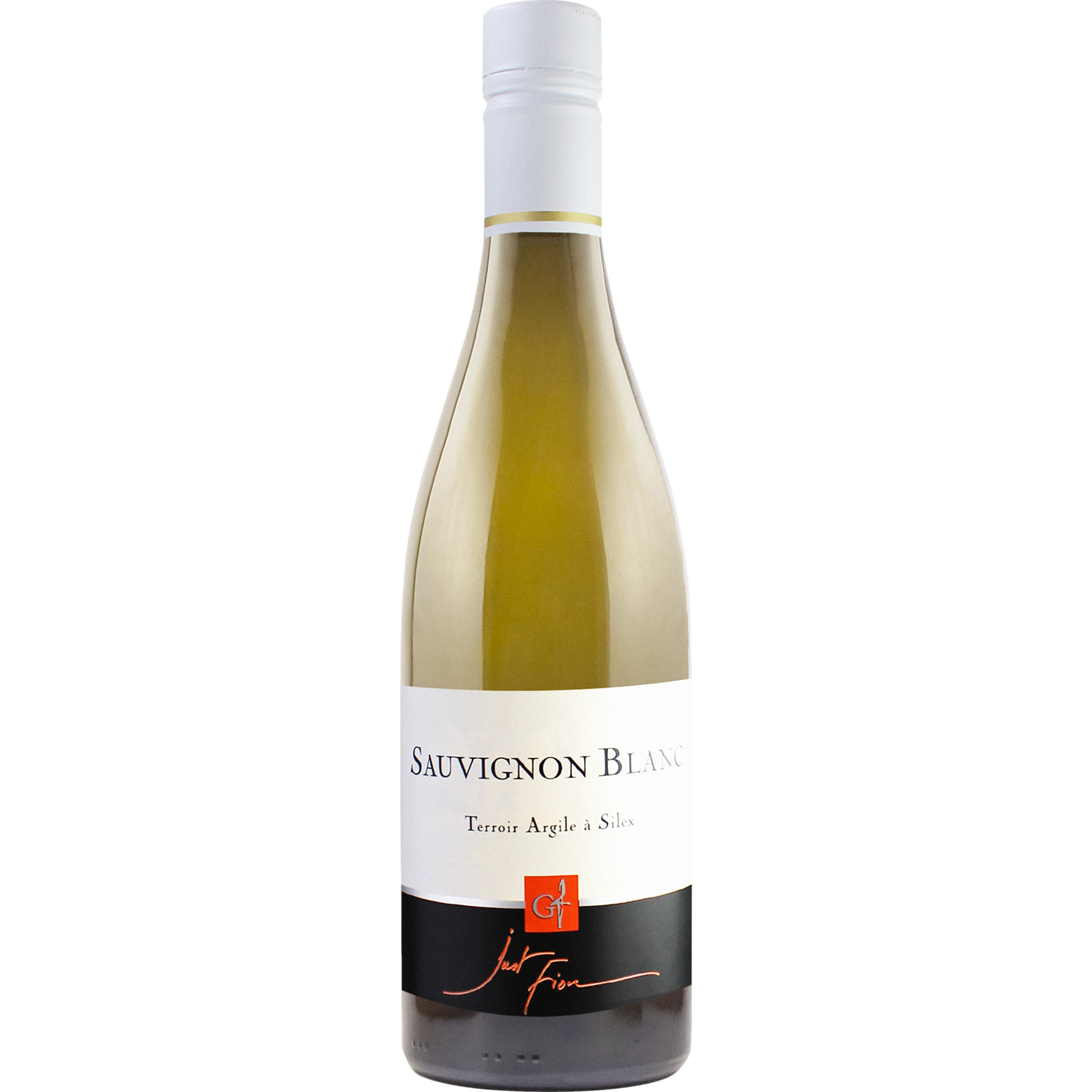 Domaine Gérard Just Fiou Blanc, Val de Loire IGP, Loire, 2024, Weißwein